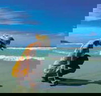 Diamond Beach - Kingaroy Accommodation