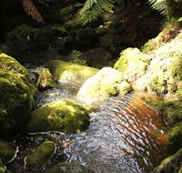 South East Forests National Park - Kingaroy Accommodation