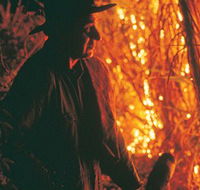 The Shed Gallery - Kingaroy Accommodation