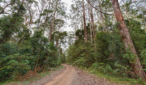 End Peak Walking Track - Kingaroy Accommodation 0