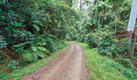 End Peak Walking Track - Kingaroy Accommodation 2