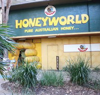 Superbee Honeyworld Gold Coast - Kingaroy Accommodation