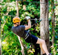TreeTop Challenge Currumbin - Kingaroy Accommodation