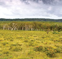 Yuraygir National Park - Kingaroy Accommodation