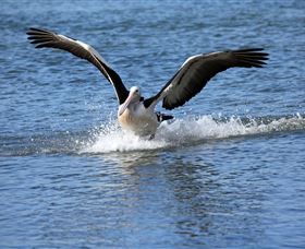 John Barton Photography - Kingaroy Accommodation 1