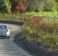 Cassegrain Wines - Kingaroy Accommodation