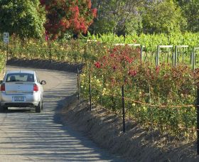 Cassegrain Wines - Kingaroy Accommodation 0
