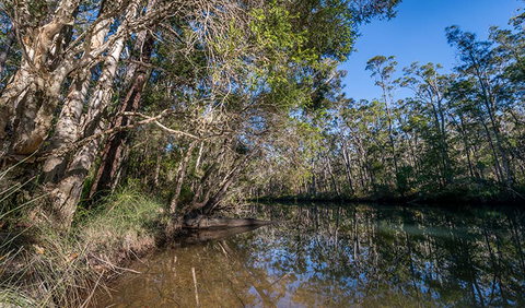 Queens Lake Nature Reserve - Kingaroy Accommodation 3