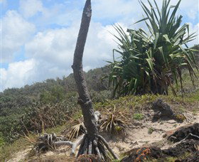 Chinamans Beach Evans Head - Kingaroy Accommodation 2