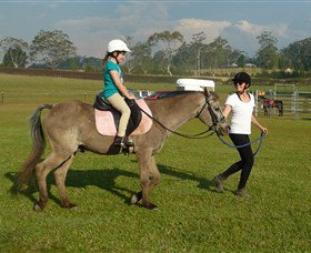 Port Macquarie Horse Riding Centre - Kingaroy Accommodation 0