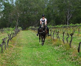Port Macquarie Horse Riding Centre - Kingaroy Accommodation 1