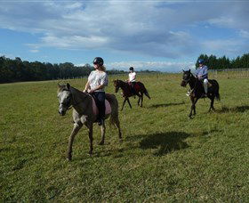 Port Macquarie Horse Riding Centre - Kingaroy Accommodation 5