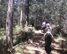 Port Macquarie Horse Riding Centre - Kingaroy Accommodation 4