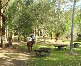 Port Macquarie Horse Riding Centre - Kingaroy Accommodation 6