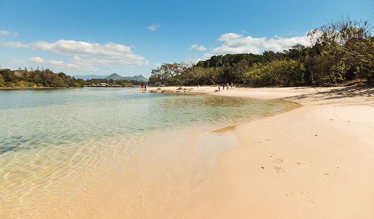 Brunswick Heads NSW Kingaroy Accommodation