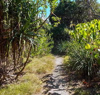 North Head walking track - Kingaroy Accommodation