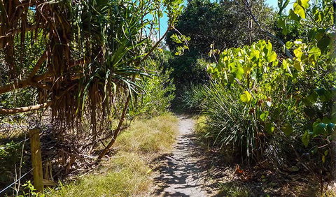 North Head Walking Track - Kingaroy Accommodation 0