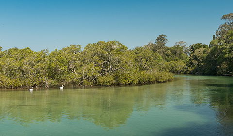 Tyagarah Nature Reserve - Kingaroy Accommodation 0