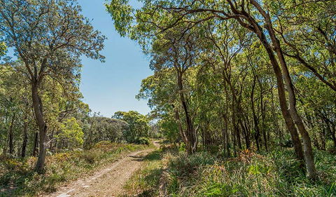 Tyagarah Nature Reserve - Kingaroy Accommodation 2