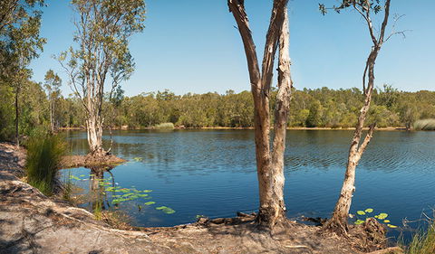 Tyagarah Nature Reserve - Kingaroy Accommodation 3