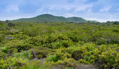 Arakwal National Park - Kingaroy Accommodation 1