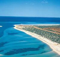 Monkey Mia - Kingaroy Accommodation