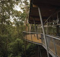 Tarkine Forest Adventures - Dismal Swamp - Kingaroy Accommodation