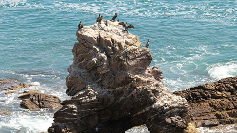 Ben Boyd National Park - Kingaroy Accommodation 2