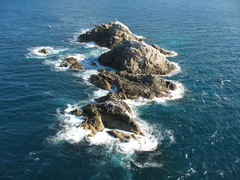 Cape Byron Marine Park - Kingaroy Accommodation 1