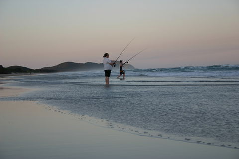 Cape Byron Marine Park - Kingaroy Accommodation 2