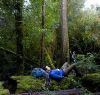 The Tarkine Drive - Kingaroy Accommodation