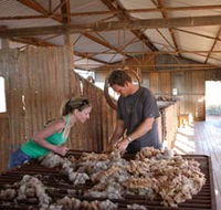Peron Homestead - Kingaroy Accommodation