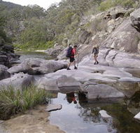 Nadgee Wilderness Walk - Kingaroy Accommodation