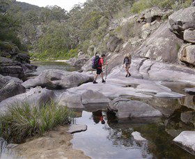 Nadgee Wilderness Walk - Kingaroy Accommodation 0