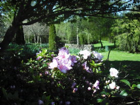 Annsleigh Gardens And Cafe - Kingaroy Accommodation 3