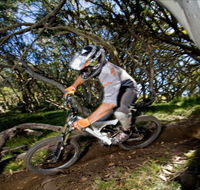 All Terrain Cycles - Kingaroy Accommodation