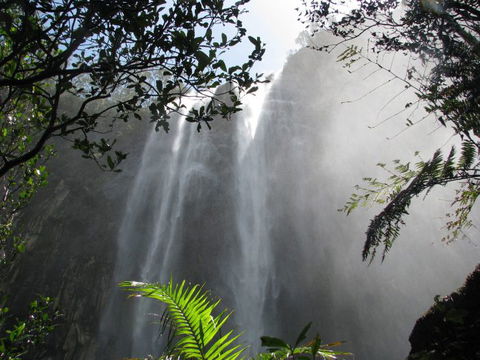Vision Walks Eco Tours - Kingaroy Accommodation 20