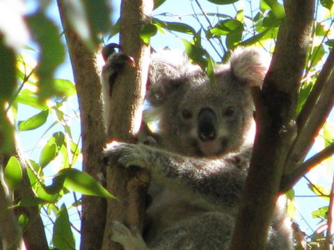 Vision Walks Eco Tours - Kingaroy Accommodation 29