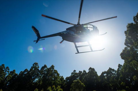 Tall Timbers Adventure Tours - Kingaroy Accommodation 3