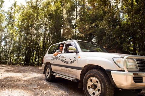 Tall Timbers Adventure Tours - Kingaroy Accommodation 11