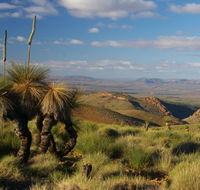 4WD Aussie Outback Adventures - Kingaroy Accommodation