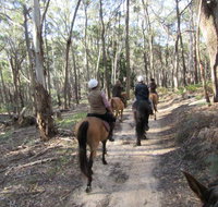 Silver Brumby Trails - Kingaroy Accommodation
