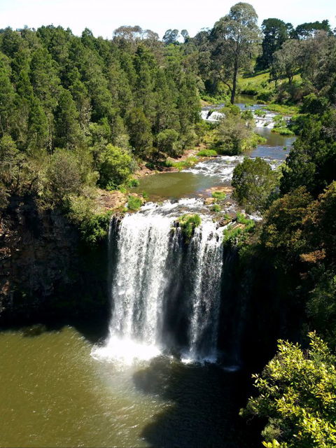 A1 Coffs Coast Tours - Kingaroy Accommodation 6