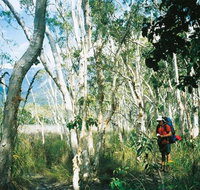 Thorsborne Trail Hinchinbrook Island National Park - Kingaroy Accommodation