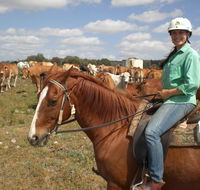 Myella Farm Stay Tours - Kingaroy Accommodation