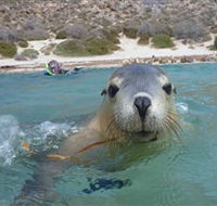 Calypso Star Charters - Kingaroy Accommodation