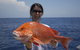 Absolute Ocean Charters - thumb 0