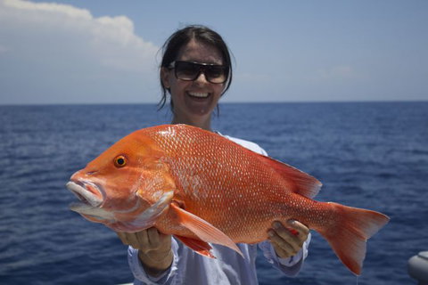 Absolute Ocean Charters - Kingaroy Accommodation 3