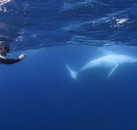 Sunreef Mooloolaba - Kingaroy Accommodation