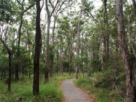 Caboolture Regional Environment Education Centre - Walking Trails - Kingaroy Accommodation 0
